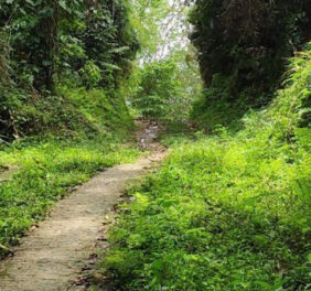 Eco Yoga Village Har...