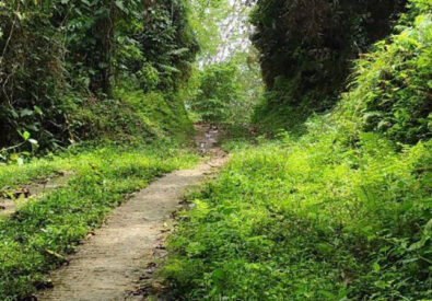 Eco Yoga Village Har...